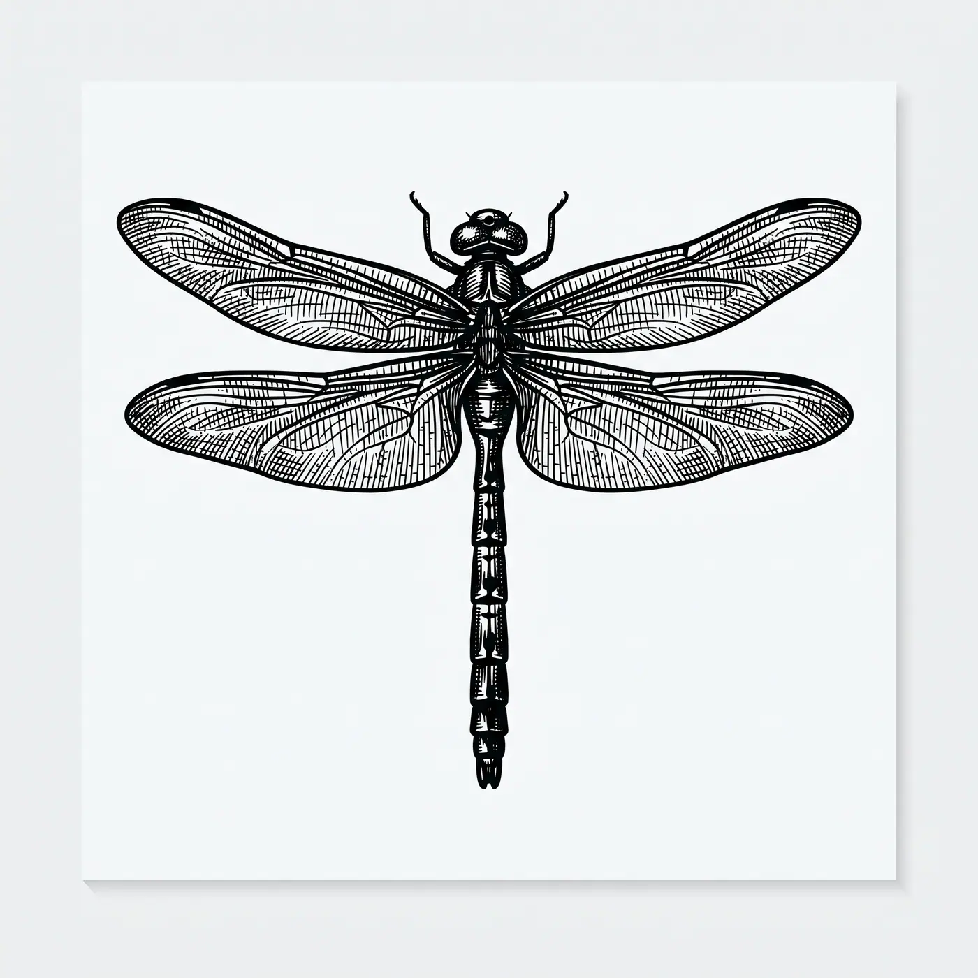 Botanical Dragonfly