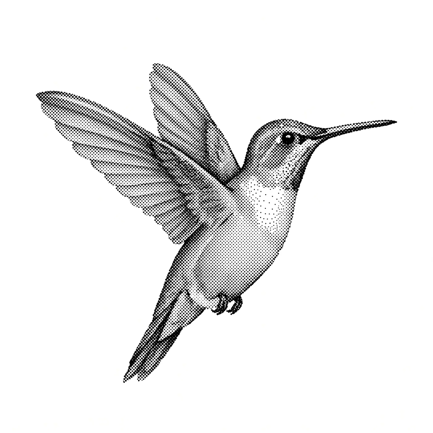 Dotwork Hummingbird
