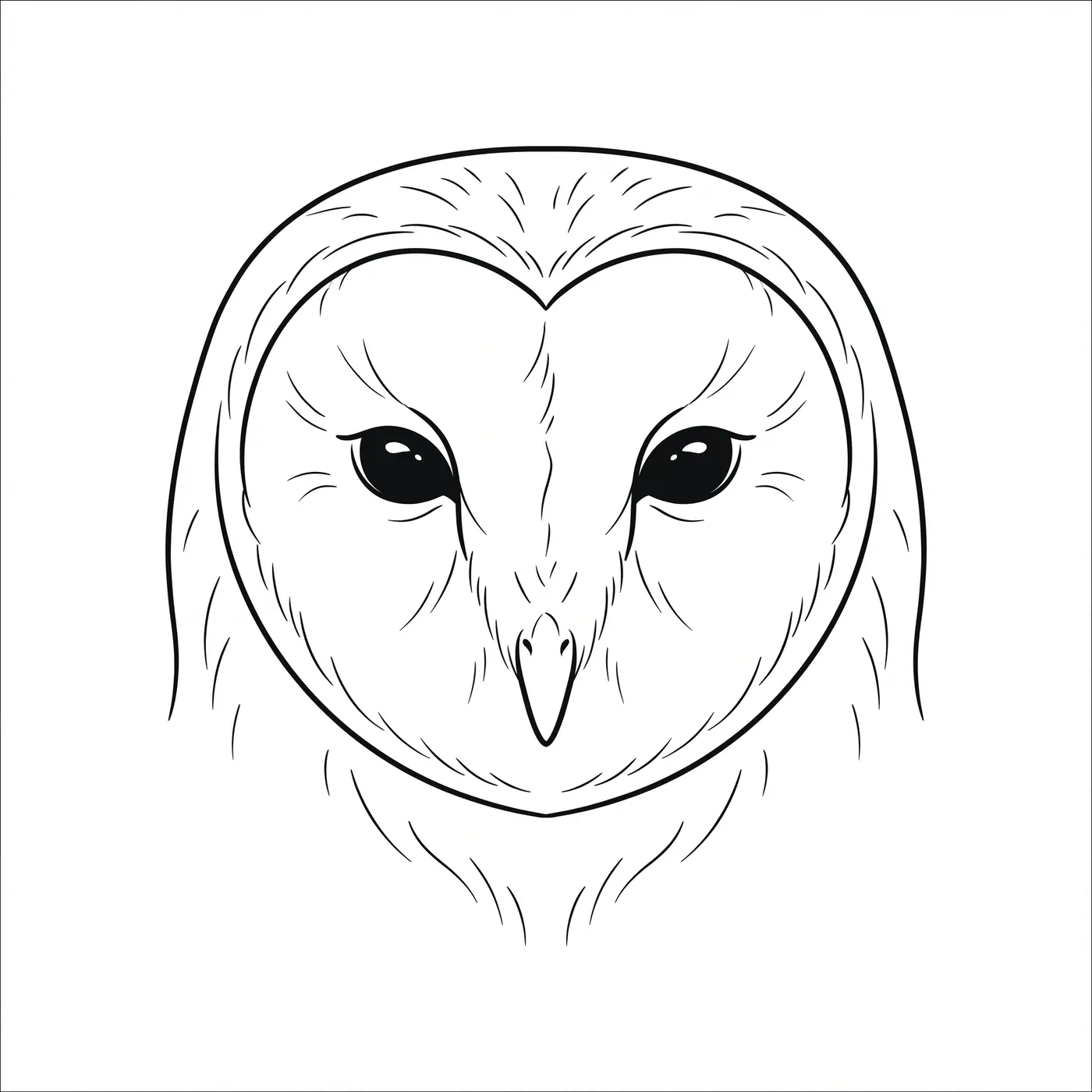 Fineline Barn Owl Face