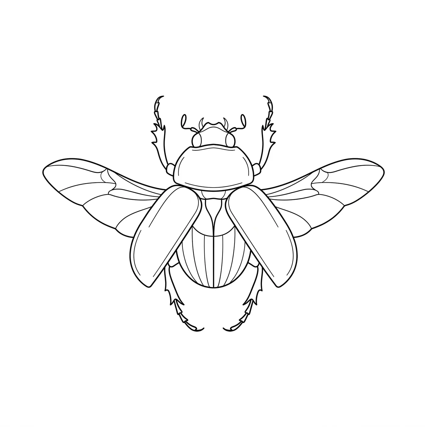 Fineline Beetle Scarab