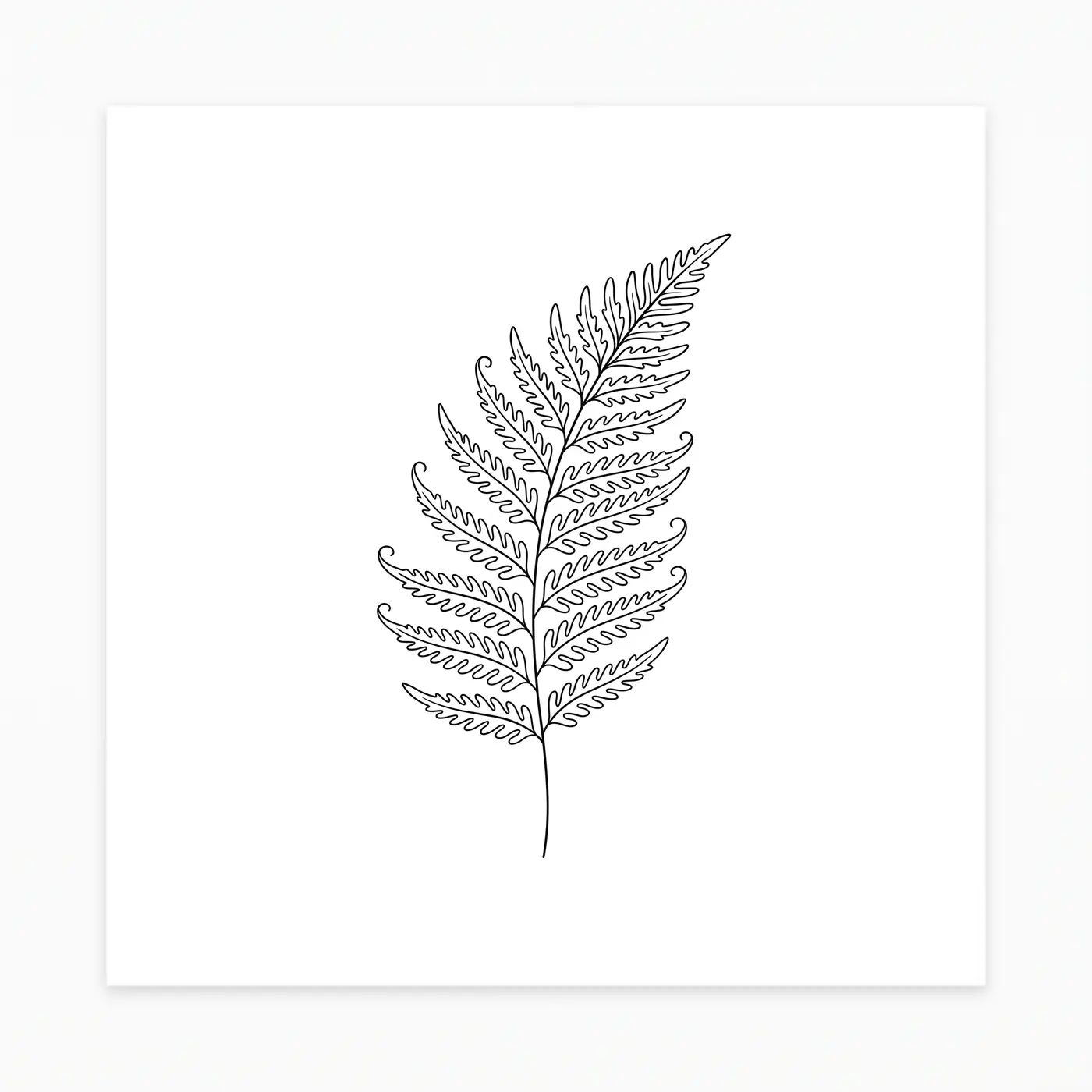 Fineline Fern Frond