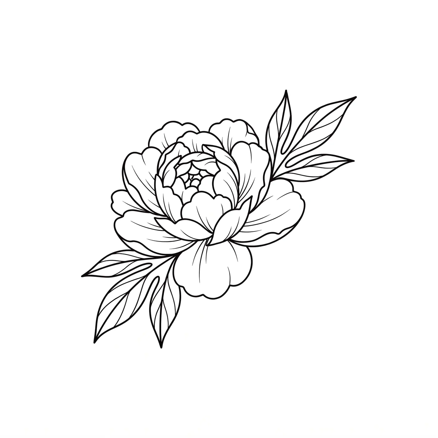 Fineline Peony Bloom