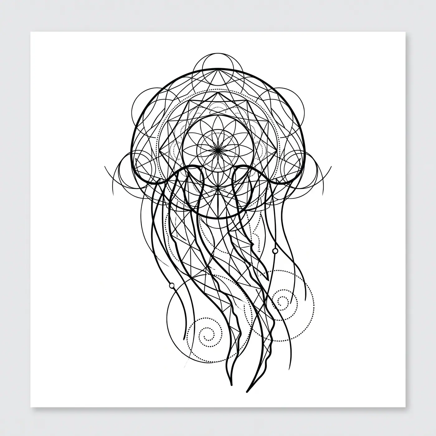 Geometric Jellyfish