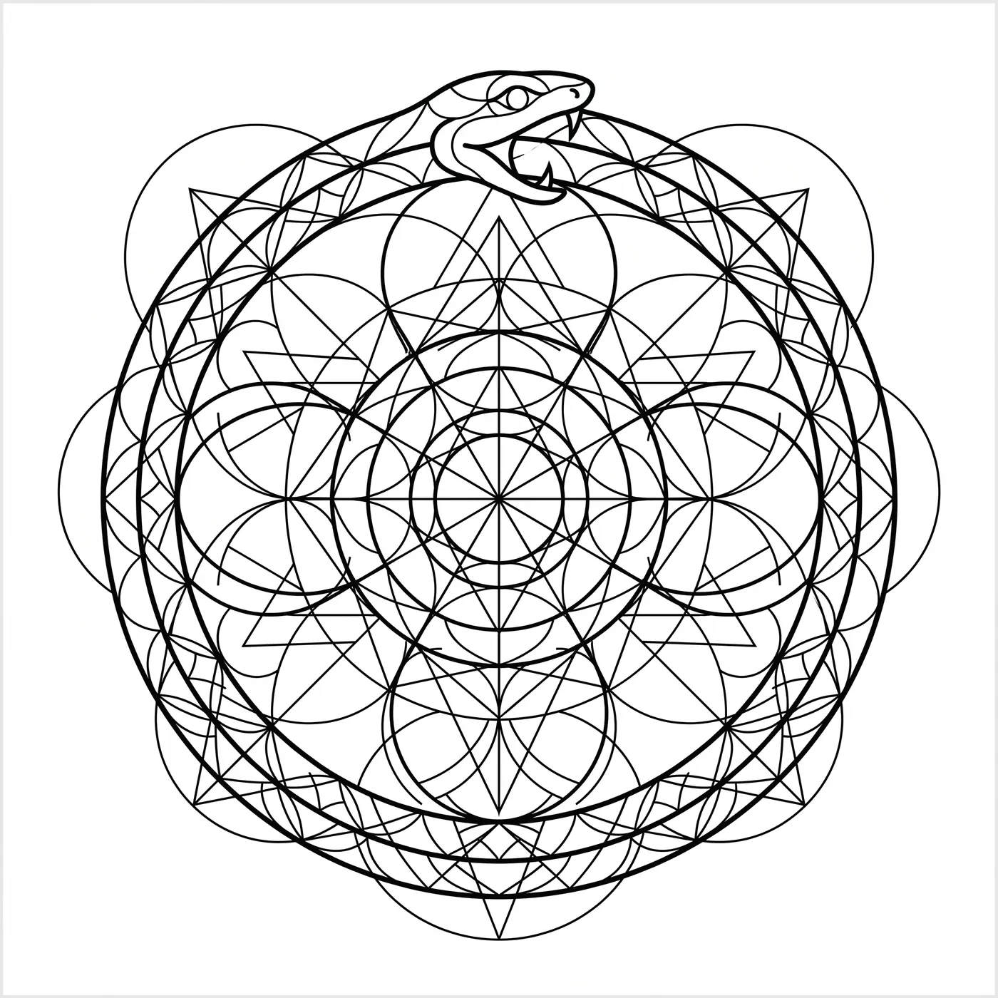 Geometric Ouroboros Ring