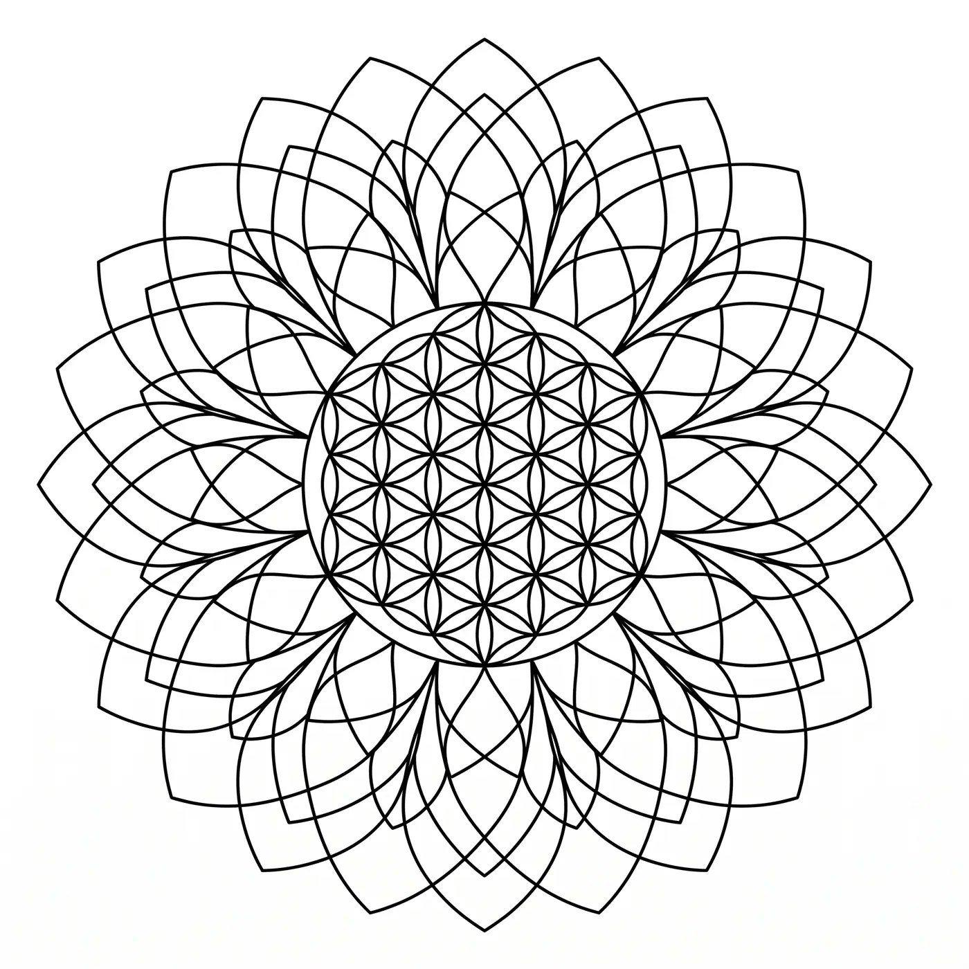 Geometric Sunflower Head