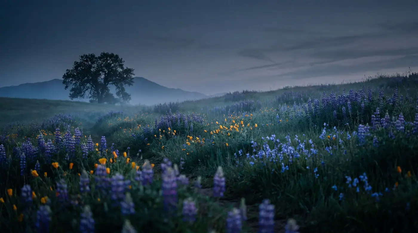 Nature 012