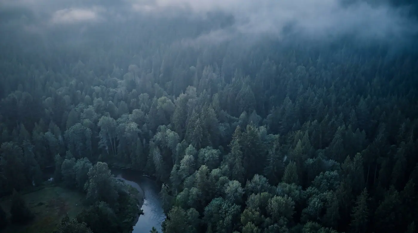 Nature 032