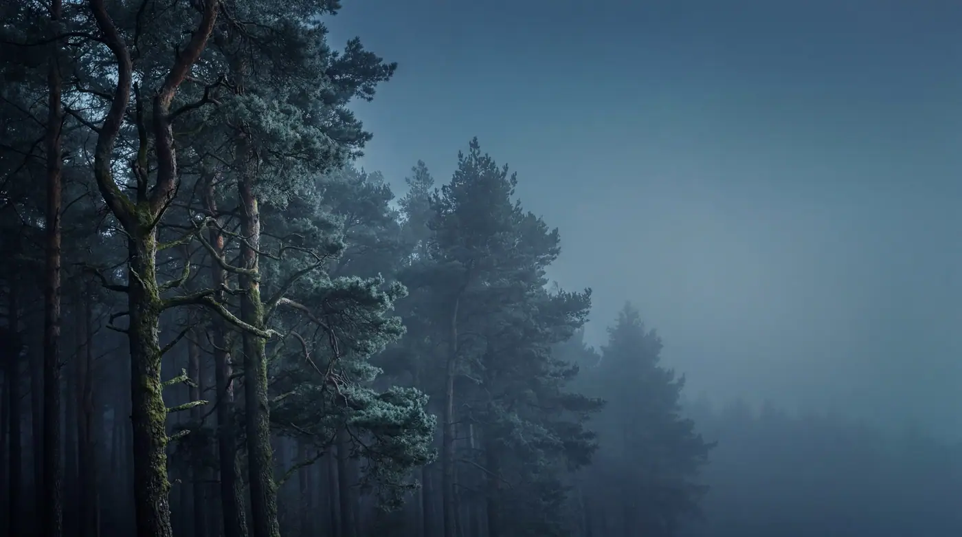 Sk Nature 002