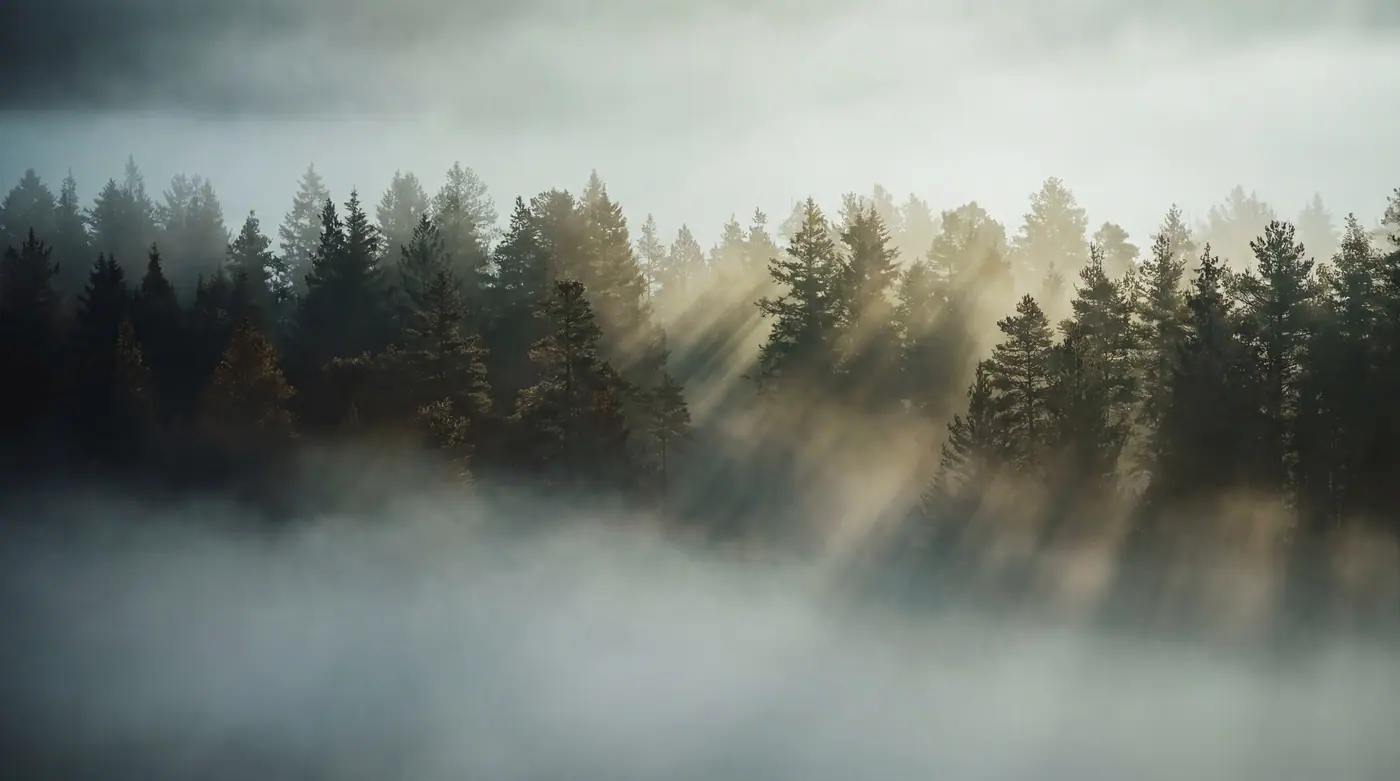 Sk Nature 003