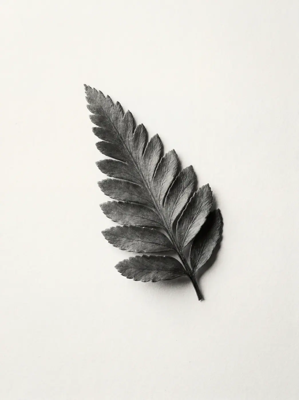 Sk Wallart 020