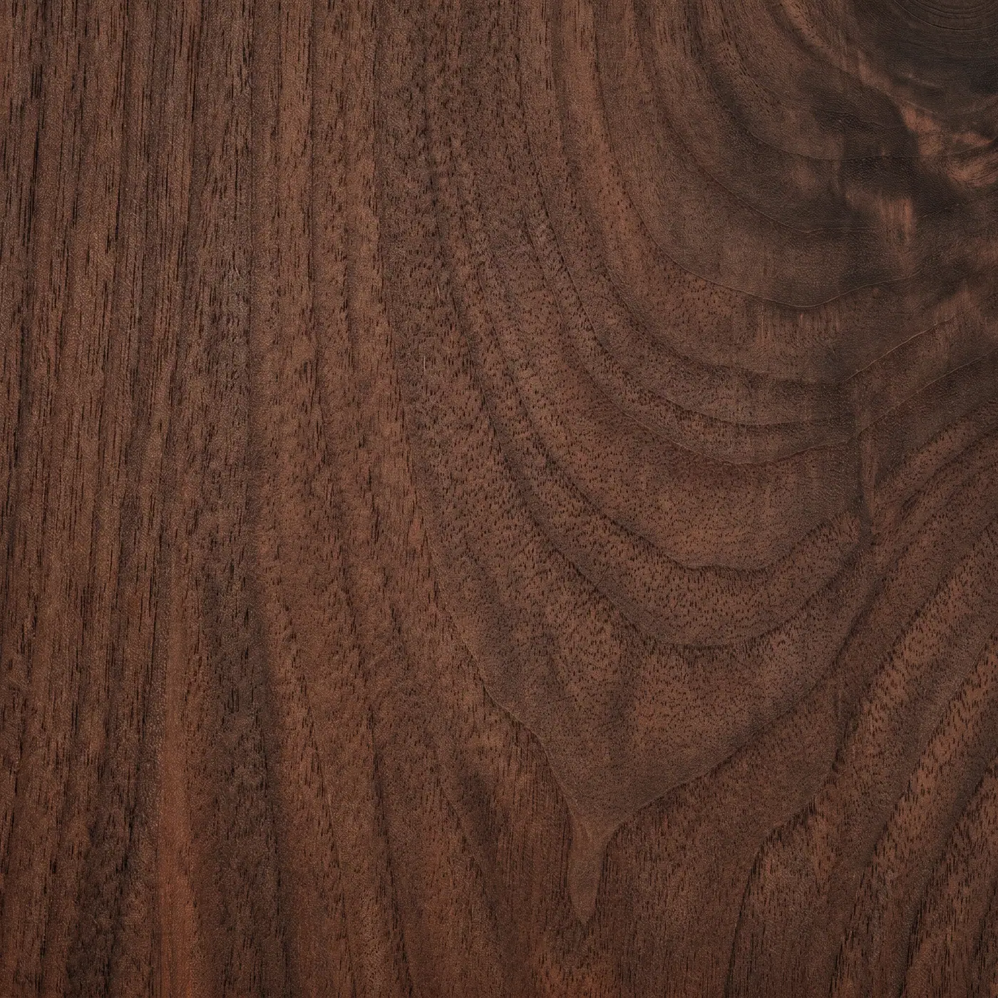 Texture 081