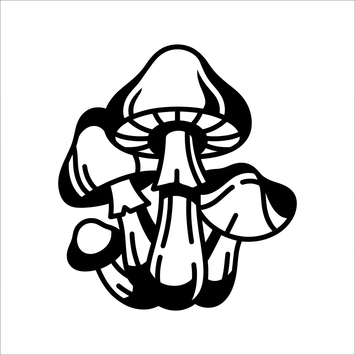 Traditional Mushroom Cluster