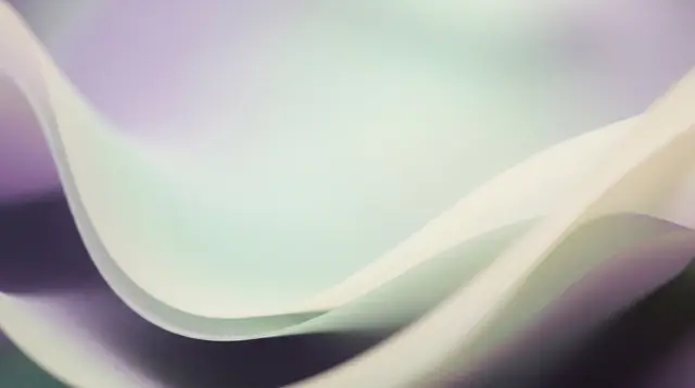 Abstract 020