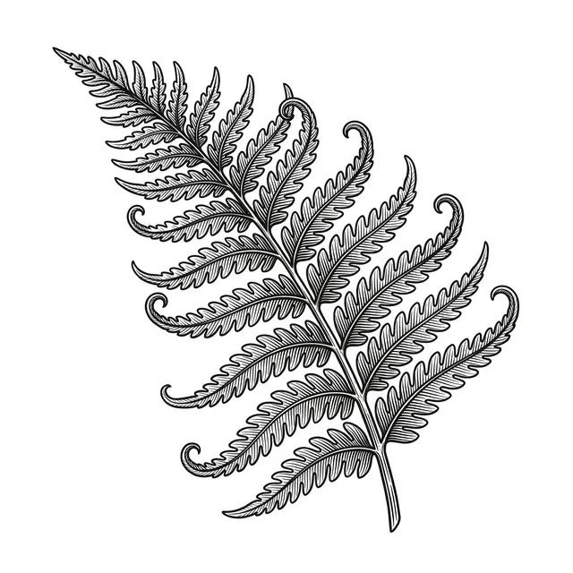 Botanical Fern Frond