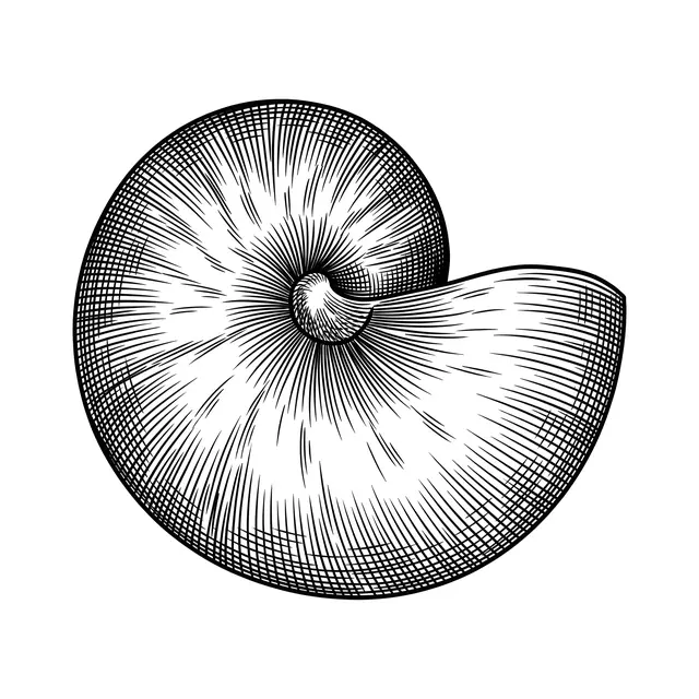 Botanical Nautilus Shell
