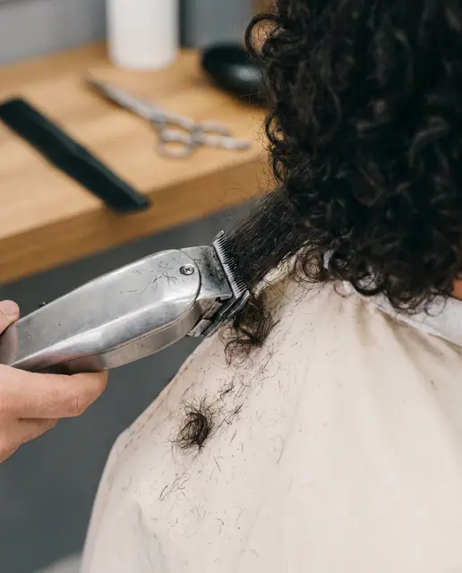 Haircut groomer scissors cutting studio clean professional