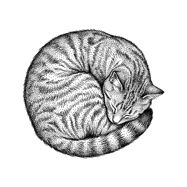 Dotwork Curled Cat