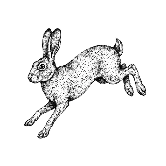 Dotwork Leaping Hare