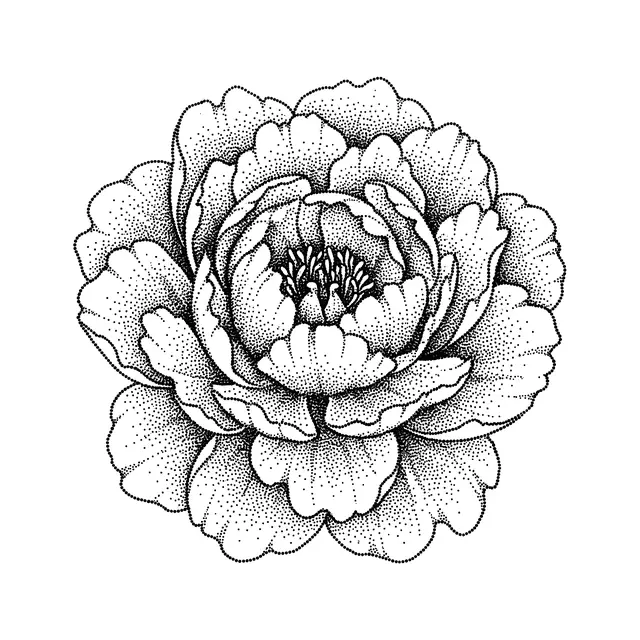 Dotwork Peony Bloom