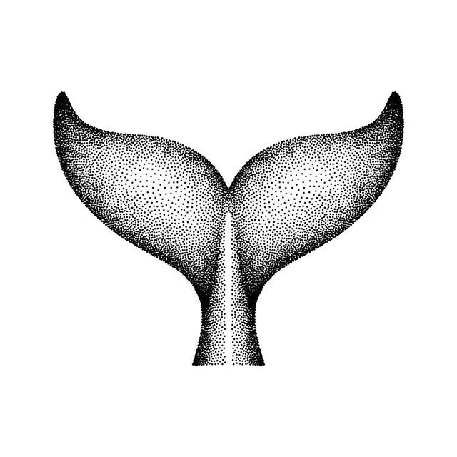 Dotwork Whale Tail