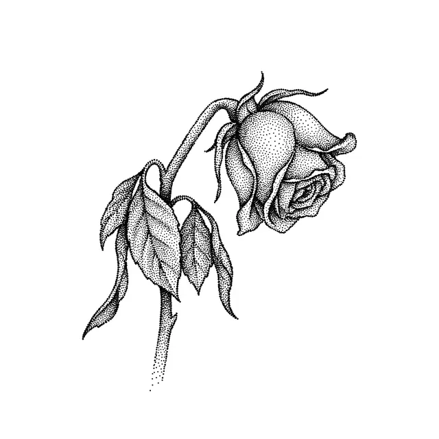 Dotwork Wilting Rose