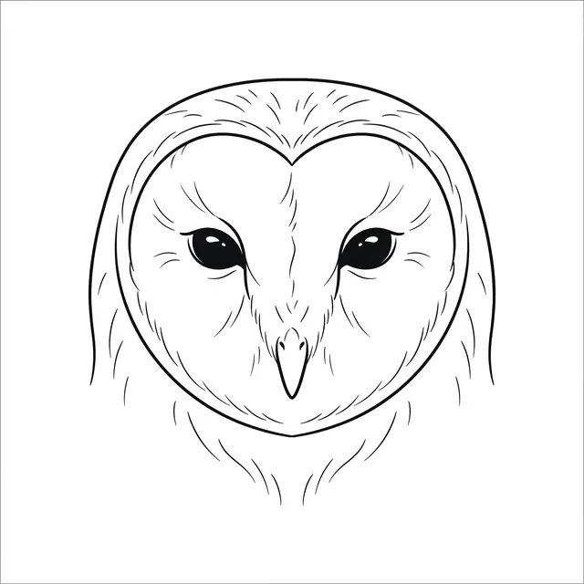 Fineline Barn Owl Face