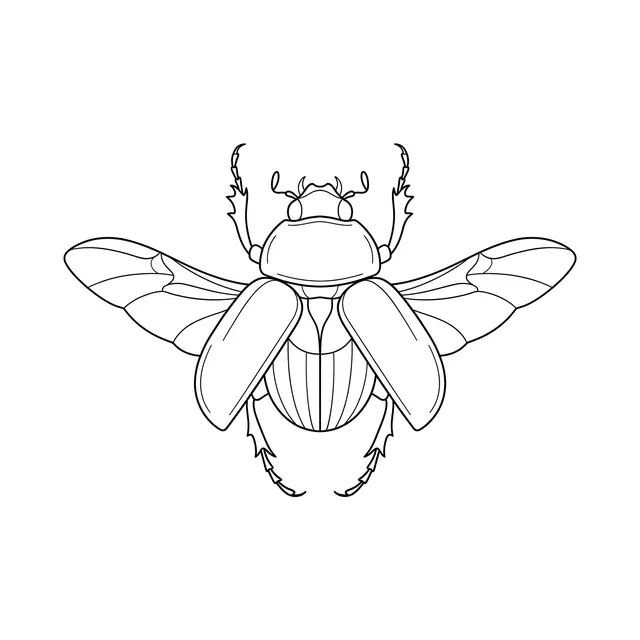 Fineline Beetle Scarab