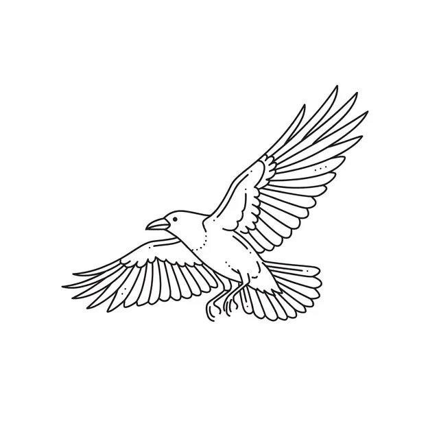 Fineline Crow In Flight