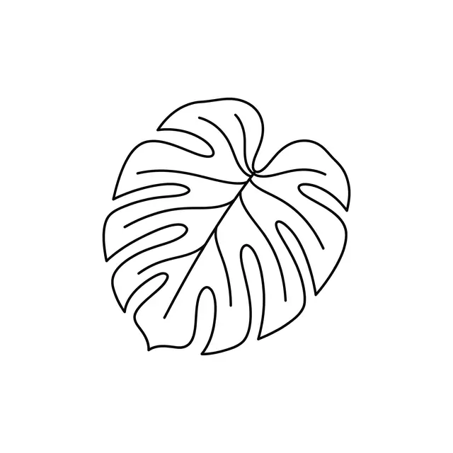Fineline Monstera Leaf