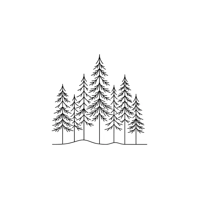 Fineline Pine Forest