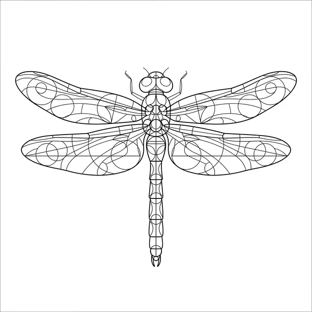 Geometric Dragonfly