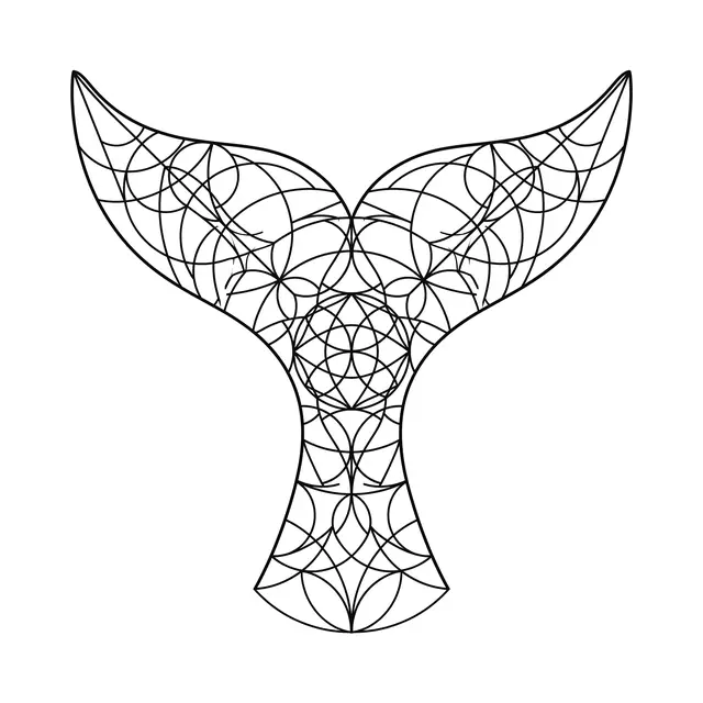 Geometric Whale Tail