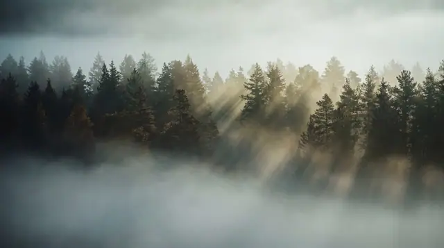 Nature 003