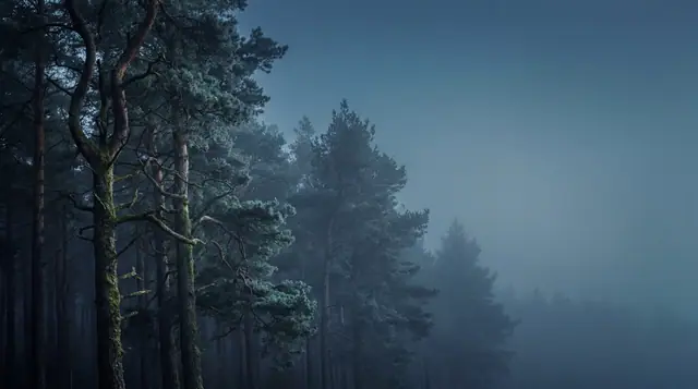 Sk Nature 002