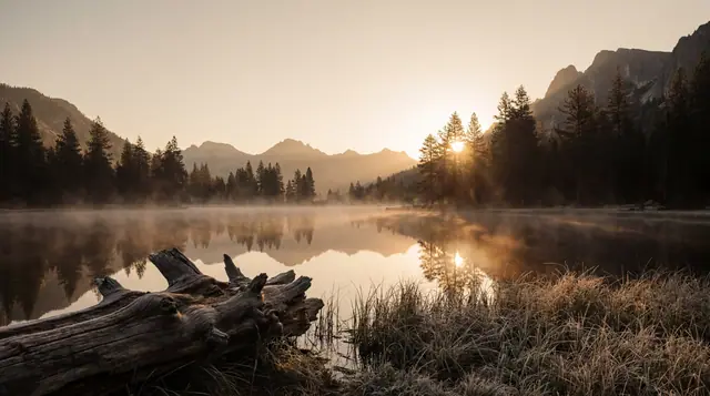 Sk Nature 026