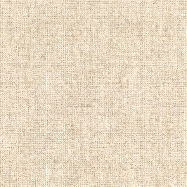 Texture 024