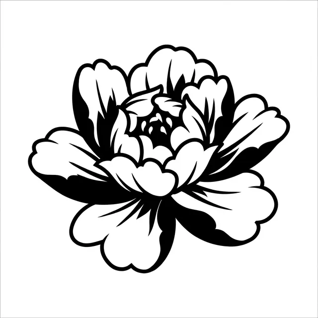 Traditional Peony Bloom